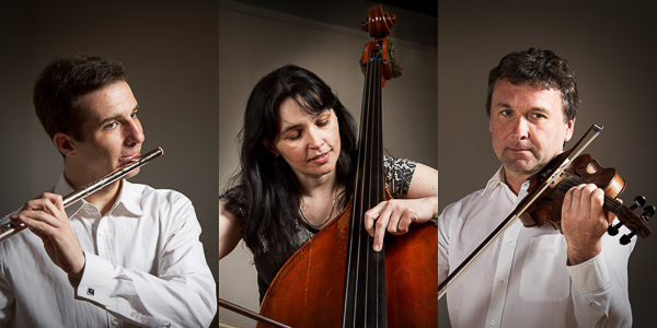 České komorní trio